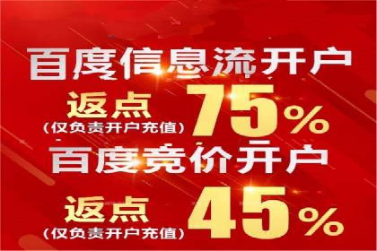 真实案例解析：SEM代运营托管公司的优势与挑战